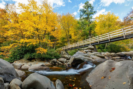 Saturate Yourself in the Great Smoky Mountains This Fall