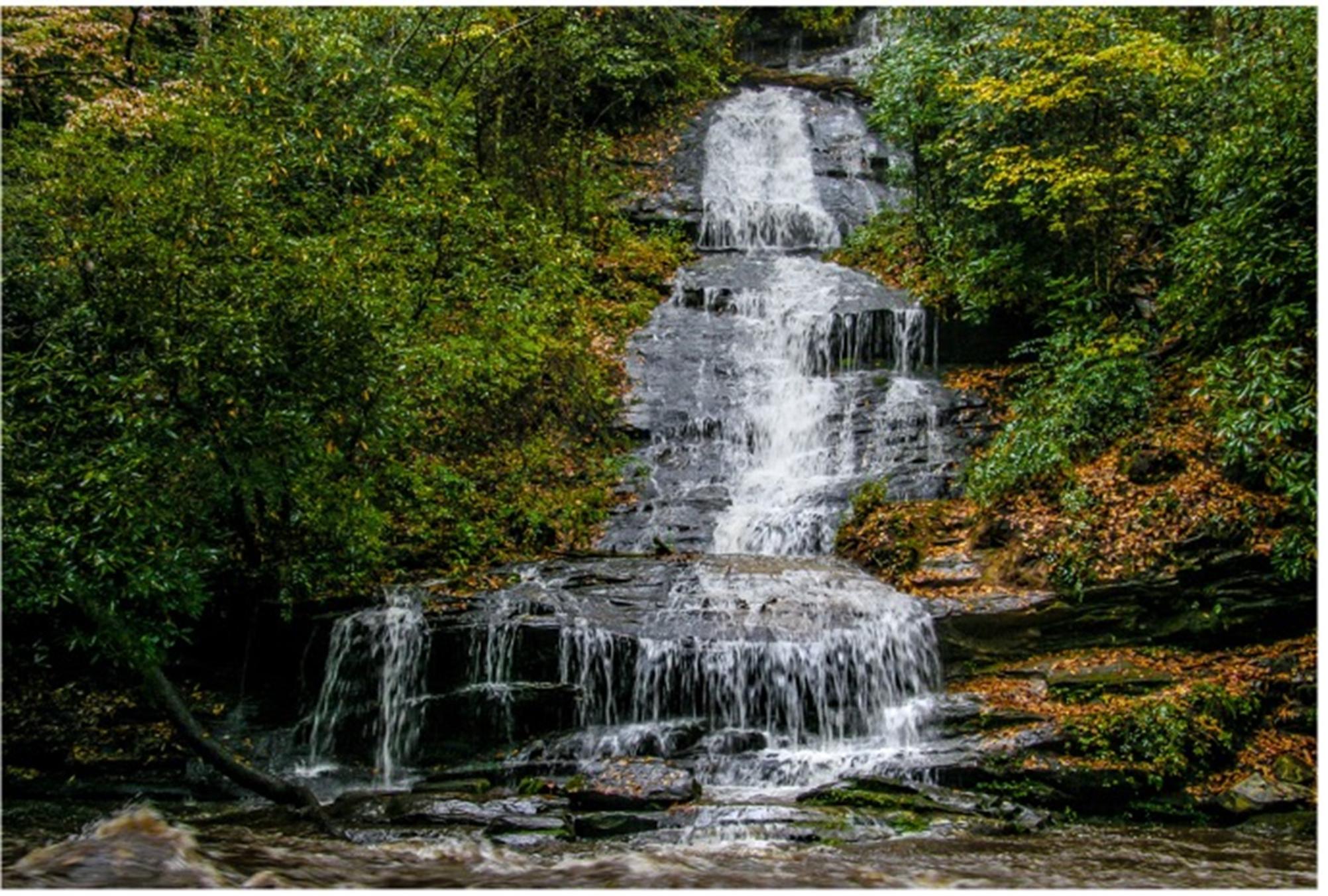 The Top 5 Things to Do in Bryson City, NC